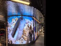 业永兴集团北京初色渐浓餐饮装修项目顺利通过验收